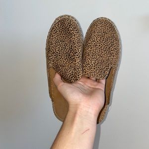 Leopard print slip ons